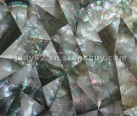 the compact shellfish mosaic