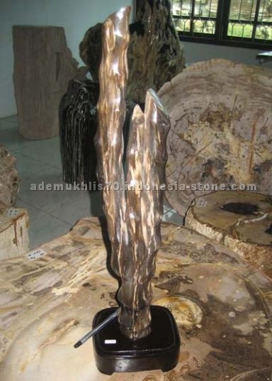 petrified wood home decor