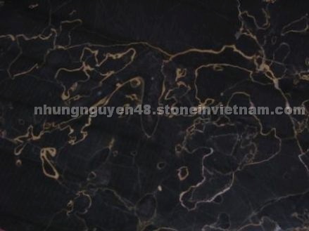 UNS Esotico Mondo