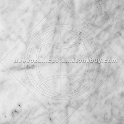 Avenza marble tile- White Marble
