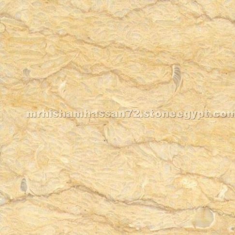 Giallo Sunny Marble