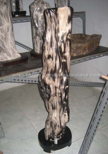 petrified wood home decor