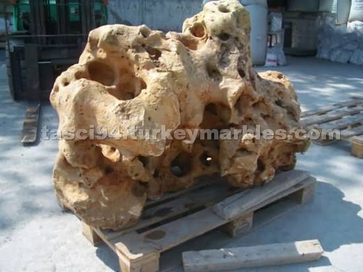 Sponge Rock