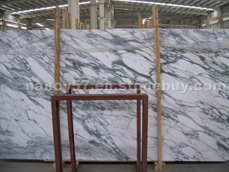 Arabescato Corchia Marble