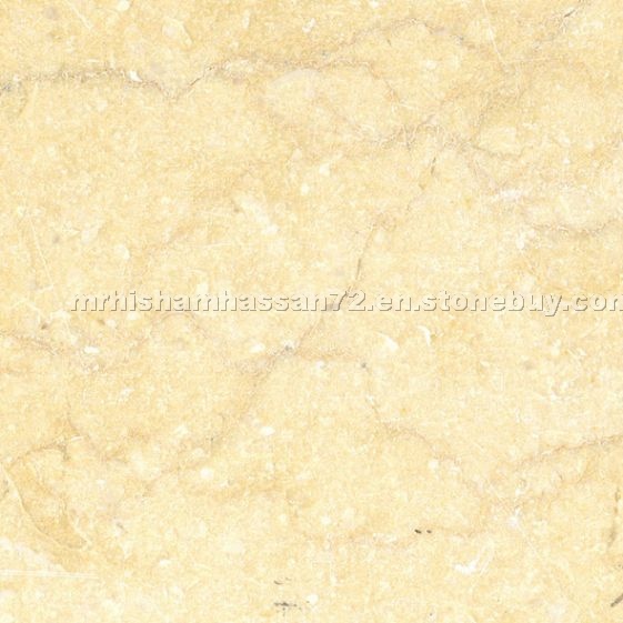 Silvia Light Marble