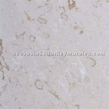 Fossil Limestone Tiles, Slabs