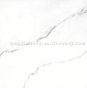 Future Stone/ Matte Porcelain