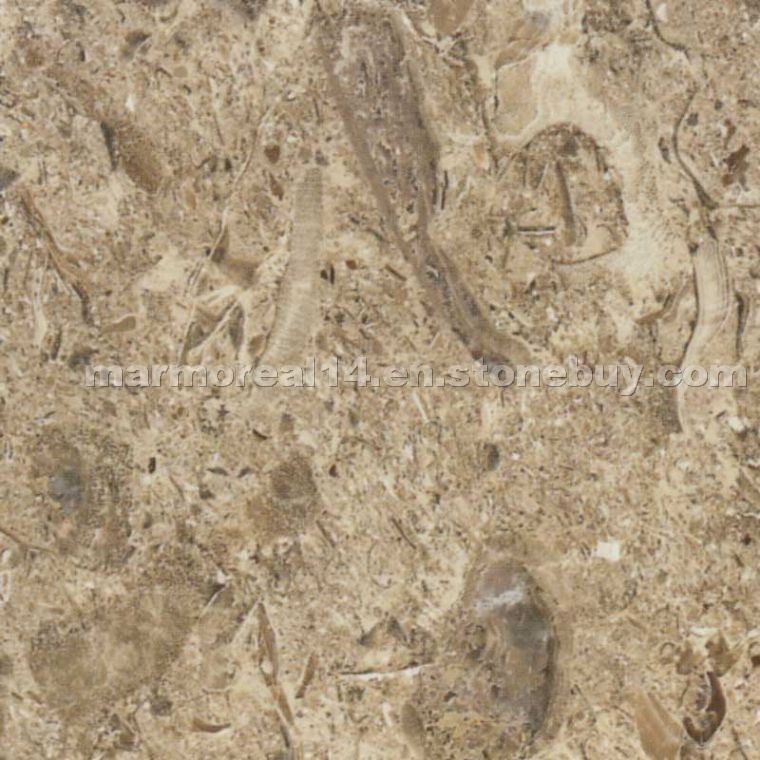Aurisina Fiorito limestone