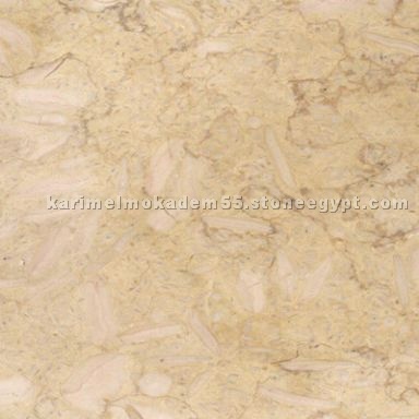 New Beige Dark AB025