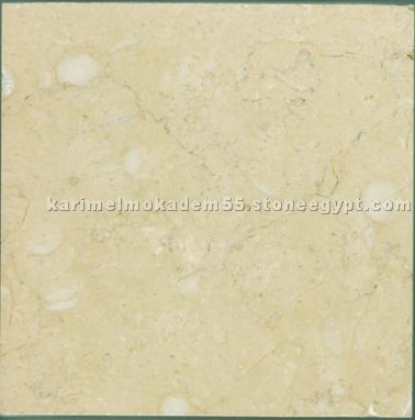 New Beige Light AB026