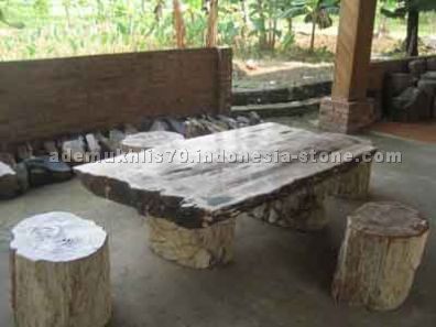 petrified wood ractangle table slab