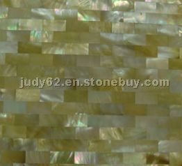 the compact shellfish mosaic