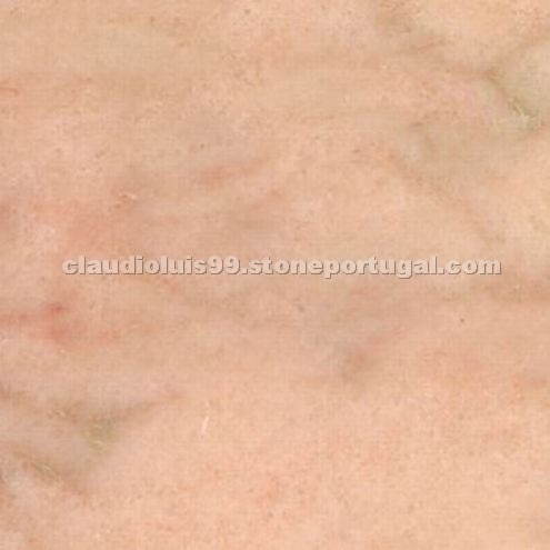 Rosa Portugal