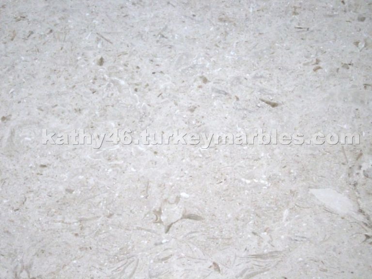Marble - Shellstone