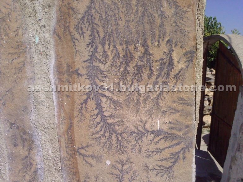 Fossil Sandstone, Fossile Sandstone