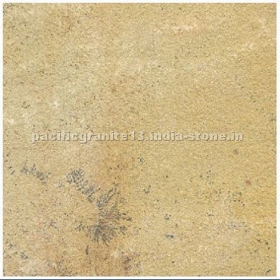 Mint Fossil Sandstone