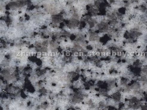 Supply Granite G640 Oriental White