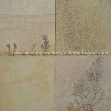 Fossil Mint Sandstone