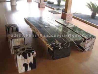 petrified wood  ractangle table