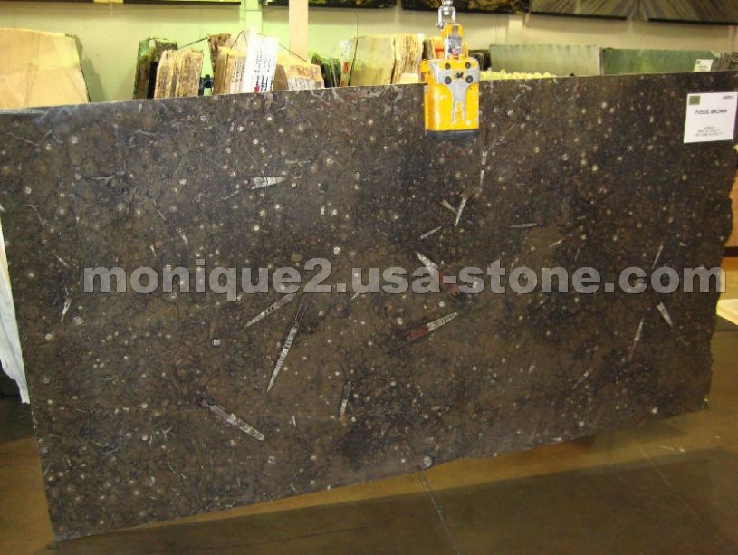 Fossil Brown