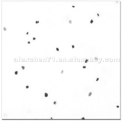 crystallized glass panel -black and white