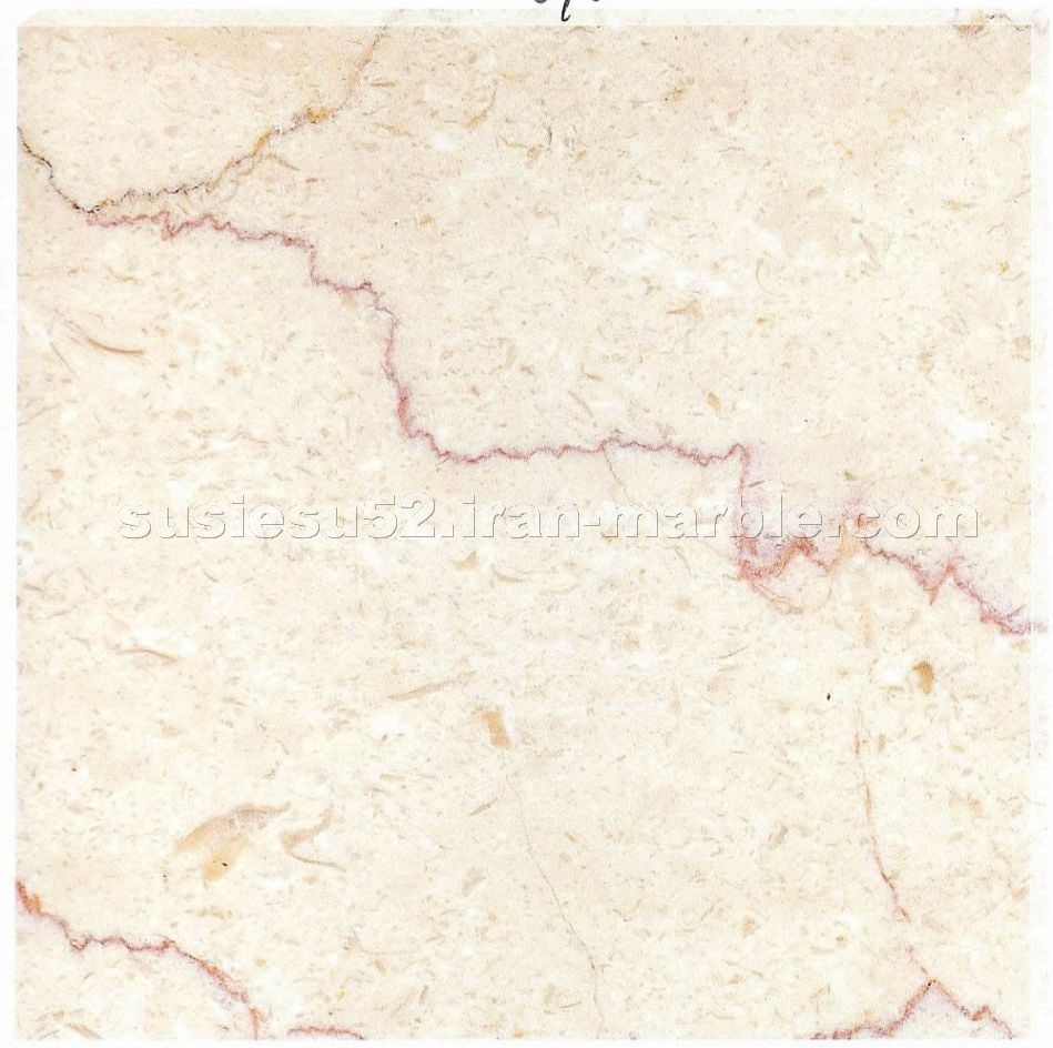 Shell Beige Marble
