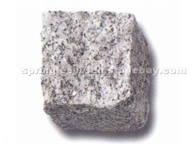 Paving stone