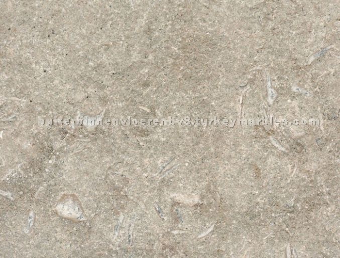 Fossil Green Marble