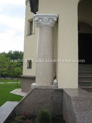 Column Golden Yellow Nakryvnaya plate Flower of Uk