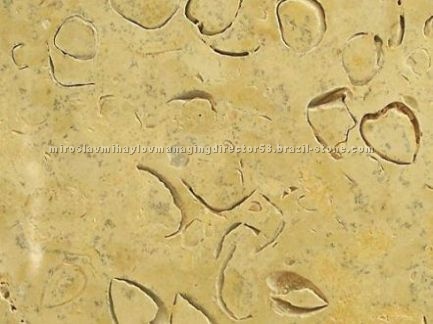 Shellstone