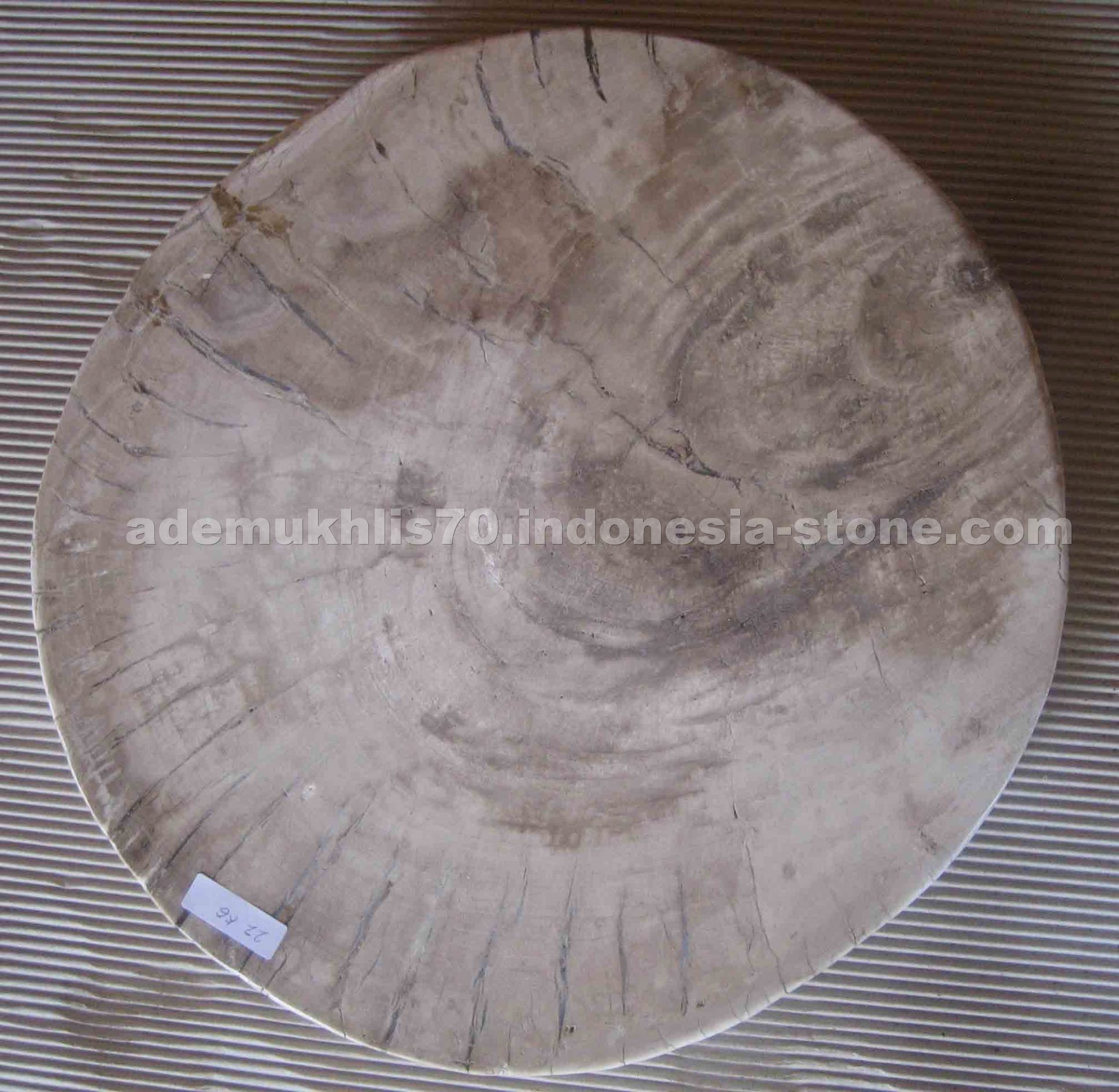 petrified wood home slice