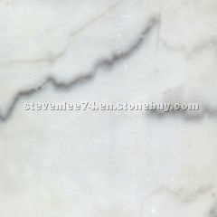 Guangxi White Guangxi White