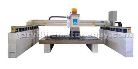 Bridge single head polisher TYPE DTMJ-3200