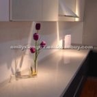 Quartz Surfaces for Counter Tops