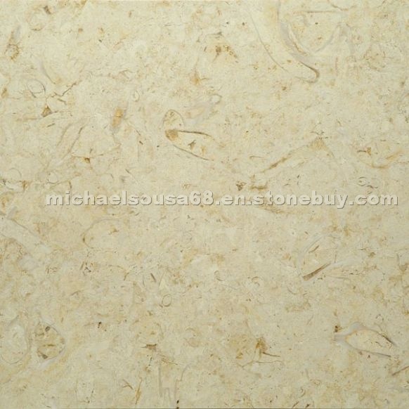 Fossil Oro Limestone