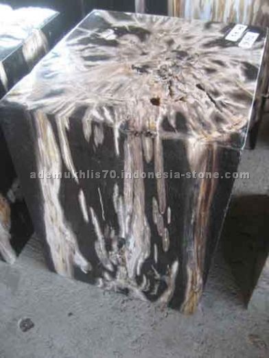 petrified wood stools square