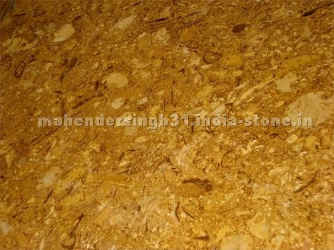 Fossil Gold