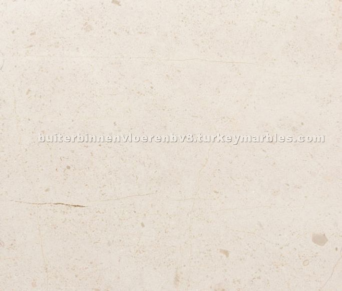 Lotus Cream Marble