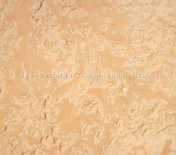 Coral Stone Limestone
