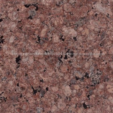 Maree Gold Granite