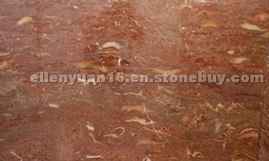 MARROM SHELL
