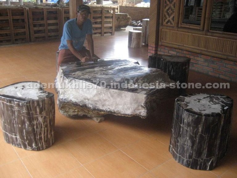petrified wood table top