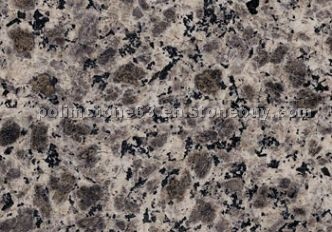 Leopard Skin