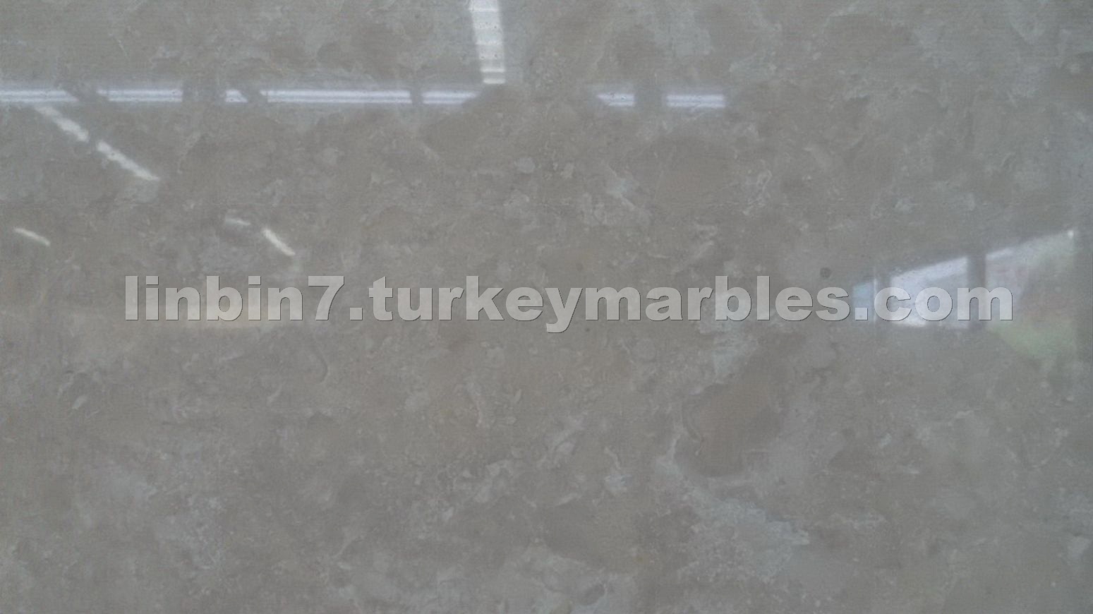 Ottman Beige