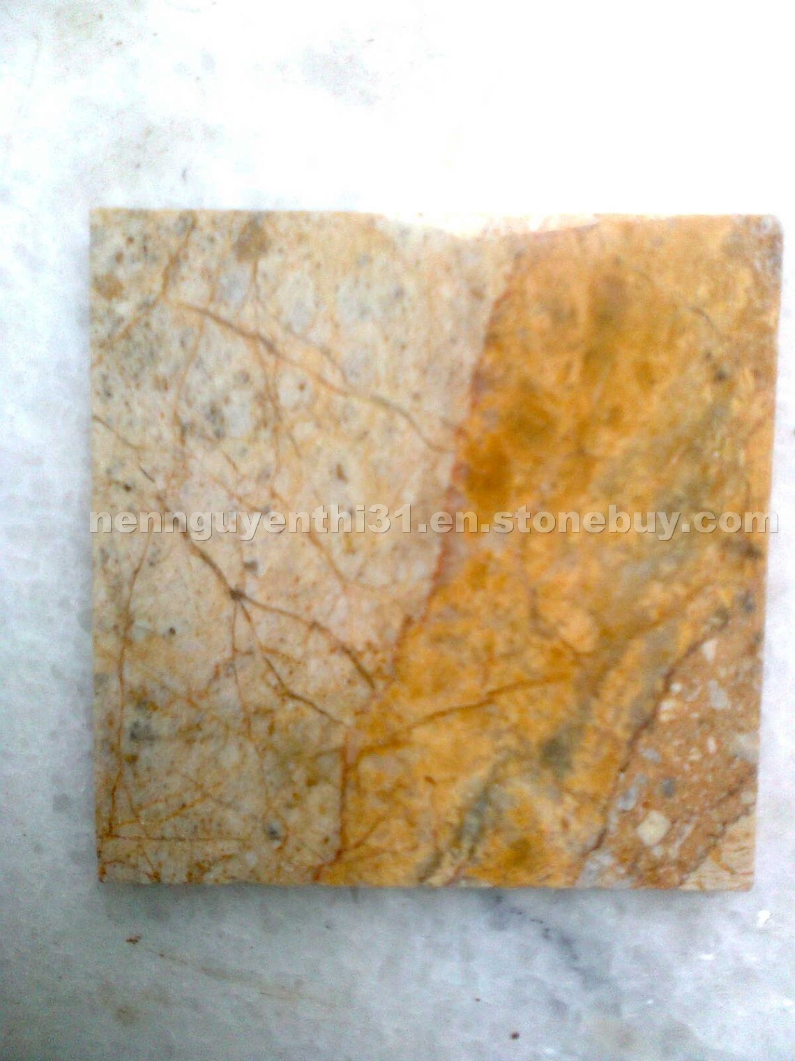 Rainforest Golden
