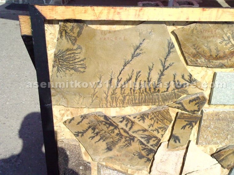 Fossil Stone Flagstone