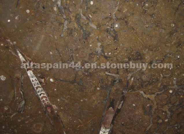 Fossile Brown