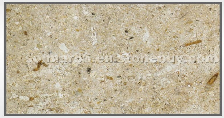 San Lucido Limestone