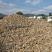 pebble stone - small yellow natural stone