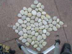 White Pebble With Net (Pebble Mosaic / Paving Ston